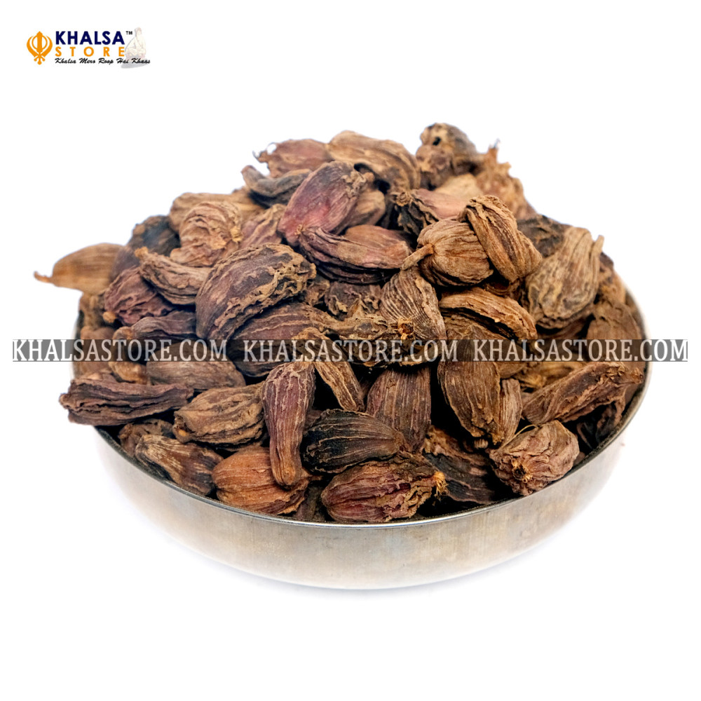 Motti Elachi (Premium)