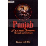 Punjab: A Cataclysmic Showdown, Aftermath and Challenges