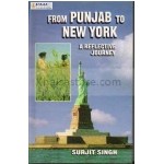 From punjab to new york